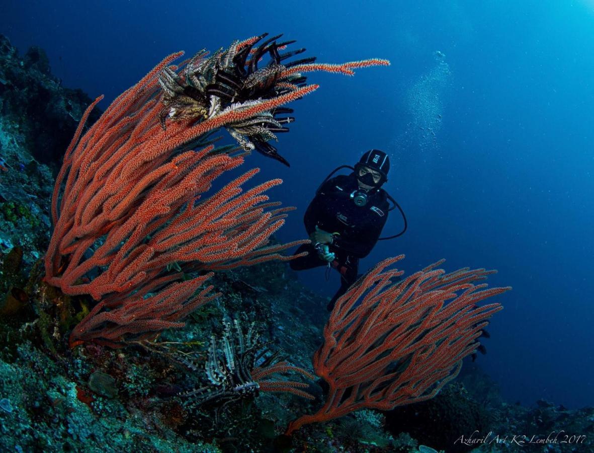 K2 Lembeh Dive Resort Bitung Dış mekan fotoğraf